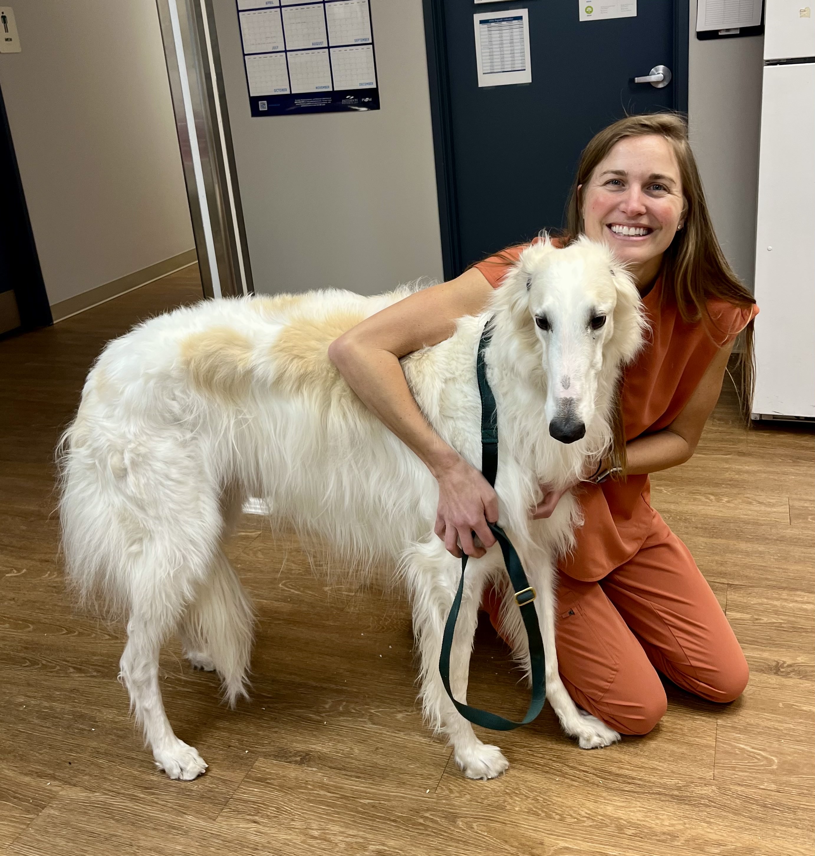 Dr. Lauren Norberg, DVM